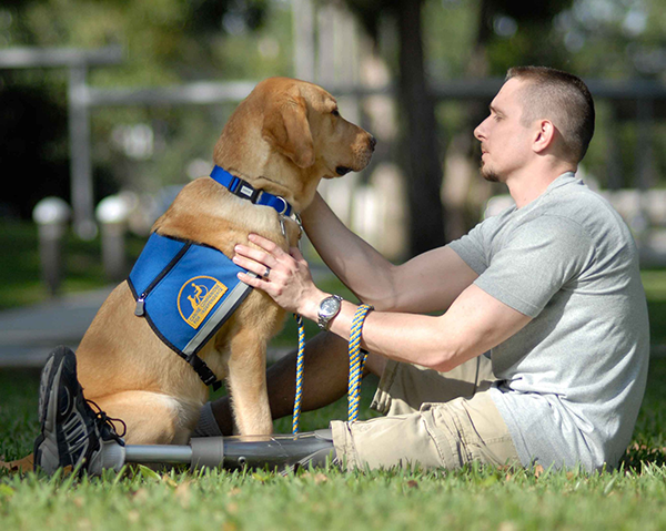 Service Dog Event - Free Eye Exams Animal Eye Clinic in Carmel, IN 