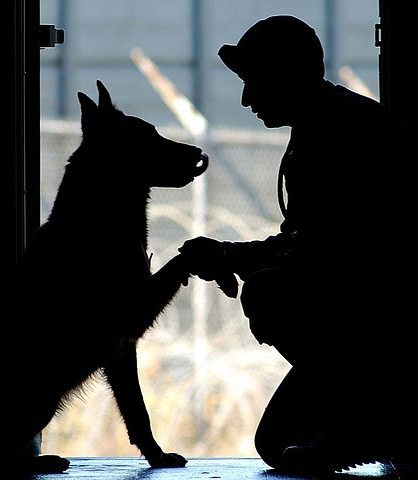 Annual Service Dog Event at Animal Eye Clinic in Carmel, IN