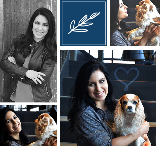 meet-doctor-mathes-animal-eye-clinic-collage – Animal Eye Clinic meet-doctor-mathes-animal-eye-clinic-collage – Animal Eye Clinic