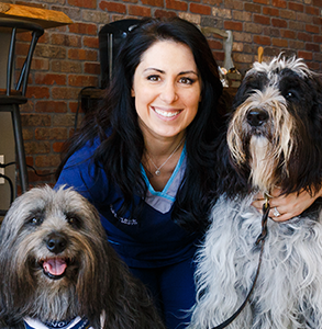Dr. Rachel Davis, Veterinary Ophthalmologist, Carmel, IN