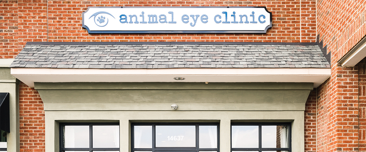 Animal Eye Clinic – We provide veterinary ophthalmology services to dogs  and cats. Located in Carmel Indiana. We serve Indianapolis and the  surrounding areas.