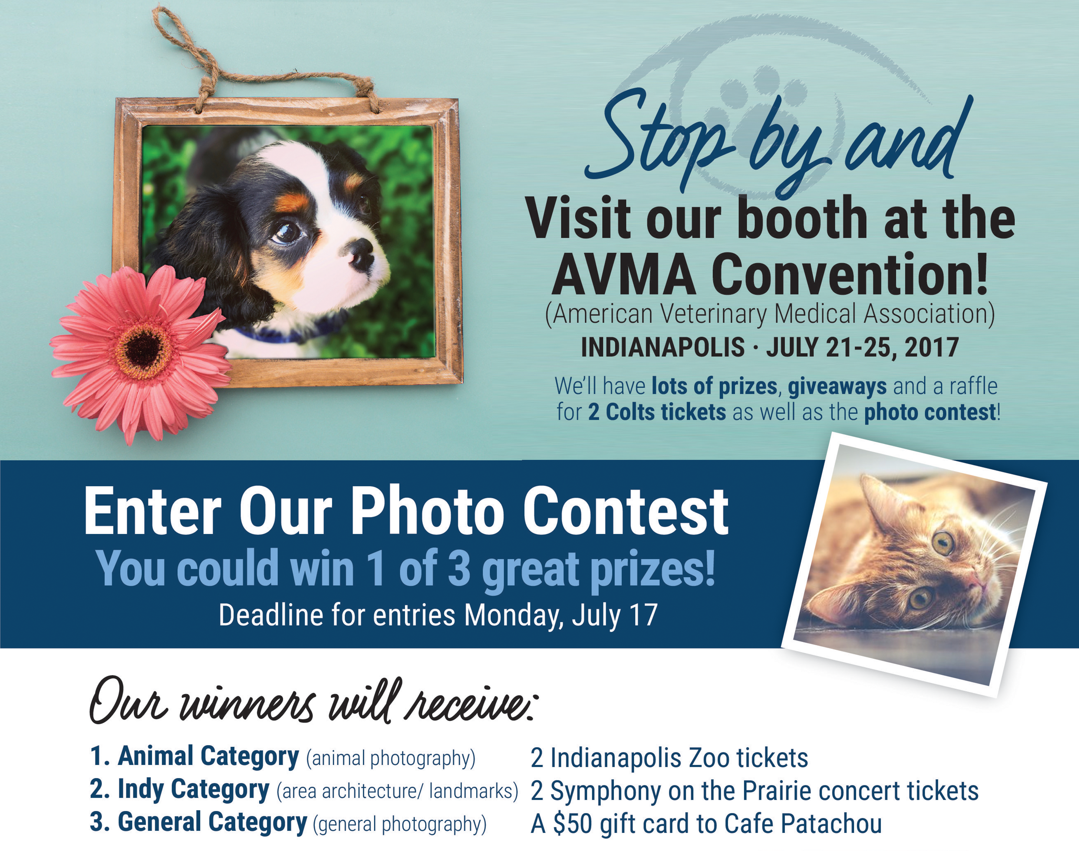 AVMA Convention Indianapolis 2017- Photo Contest