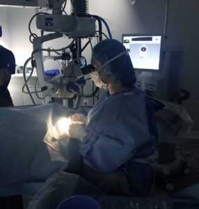 animal-eye-clinic-dr-davis-surgery