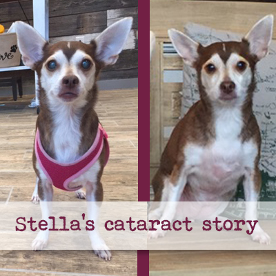 Stella’s Cataract Surgery