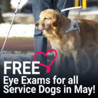 May-Service-Dog-FREE-Eye-Exam-Event