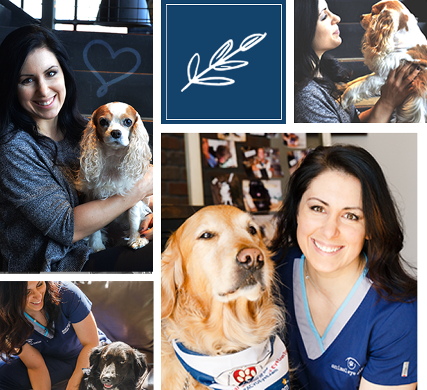 Animal Eye Clinic – We provide veterinary ophthalmology services to dogs  and cats. Located in Carmel Indiana. We serve Indianapolis and the  surrounding areas.
