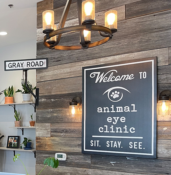 animal-eye-clinic-reception